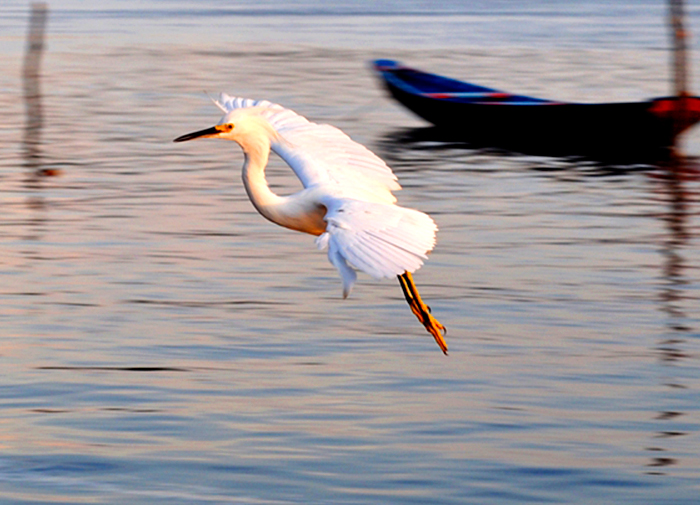 desvende-parnaiba-delta-do-parnaíba1