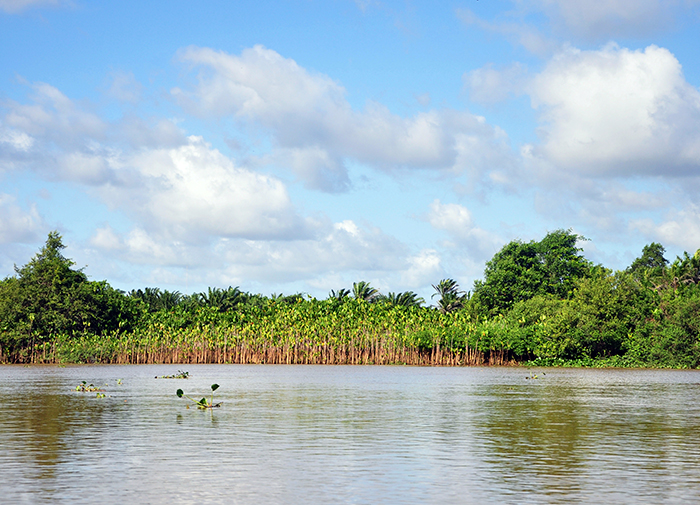 desvende-parnaiba-delta-do-parnaíba2